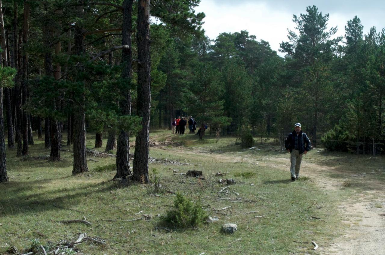Sierra De Gudar 아파트 외부 사진