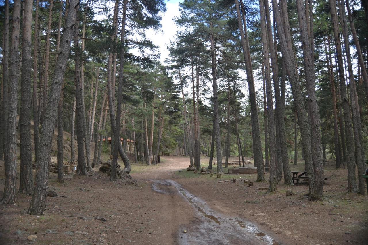 Sierra De Gudar 아파트 외부 사진